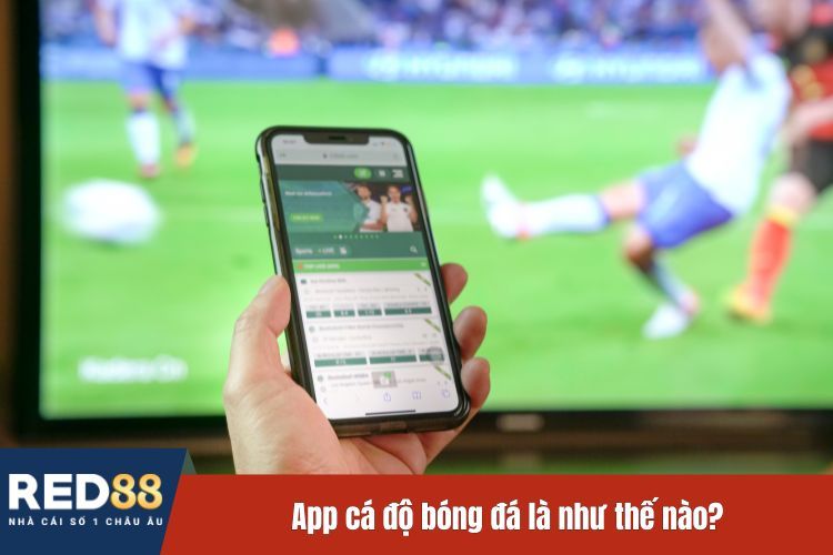 App cá độ bóng đá là như thế nào?