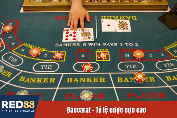 Baccarat - Tỷ lệ cược cực cao