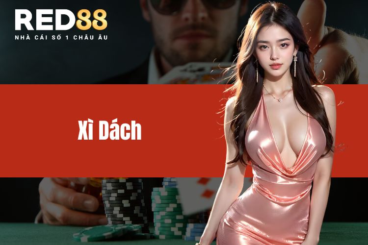 Xì dách là gì? Tựa game phổ biến số 1 tại Việt Nam