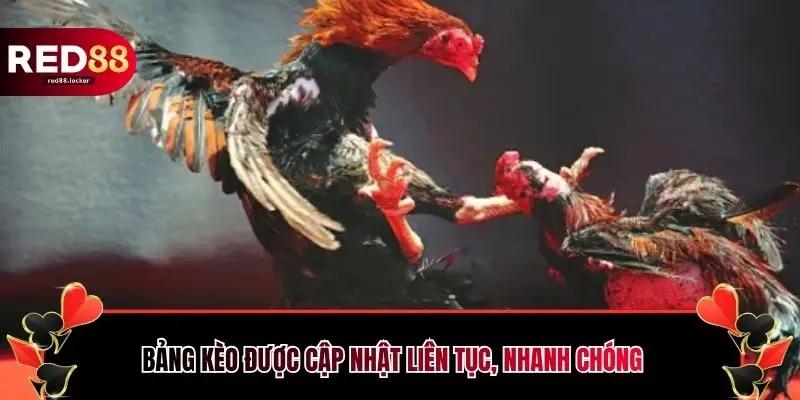 Bảng kèo được cập nhật liên tục, nhanh chóng