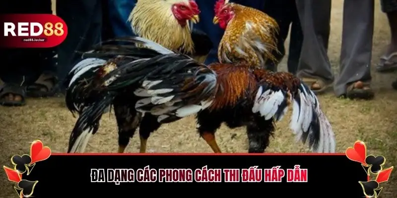 Đa dạng các phong cách thi đấu hấp dẫn