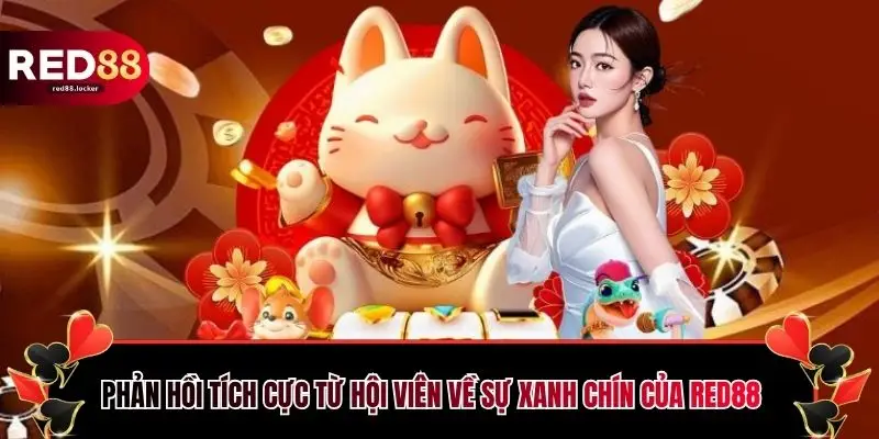 Phản hồi tích cực từ hội viên về sự xanh chín của RED88