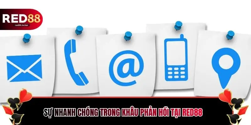 Sự nhanh chóng trong khâu phản hồi tại RED88